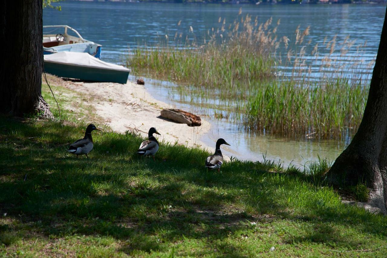 פלה Emy Lake Orta מראה חיצוני תמונה